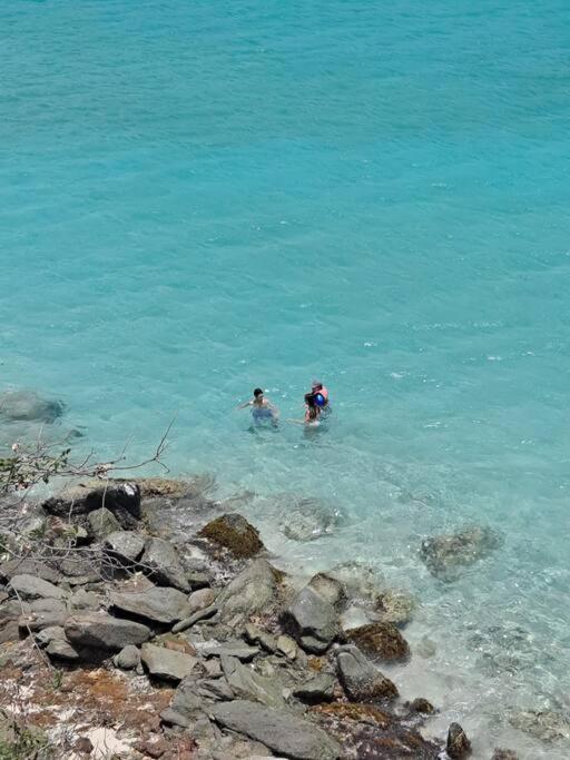 Sailfish Villa Luxury Beachfront Estate Magens Bay Cruz Bay Bagian luar foto